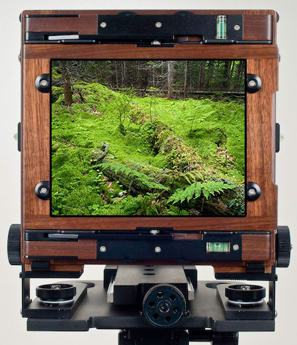 is this the perfect digital camera?