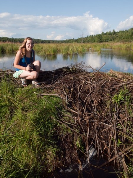 Camping and Canoeing at The Massasauga Provincial Park, Ontario