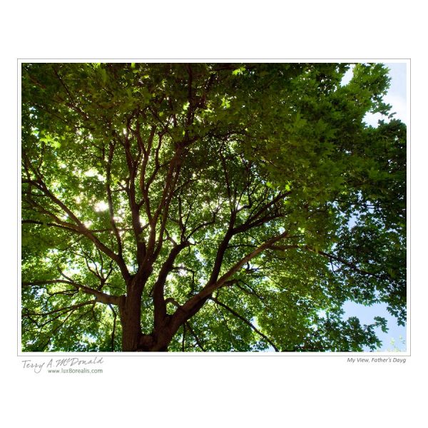 My View on Father's Day