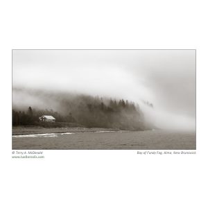 Bay of Fundy Fog, Alma, New Brunswick