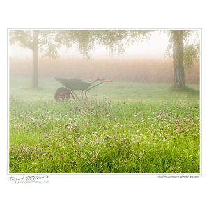 Golden Summer Morning, Bavaria