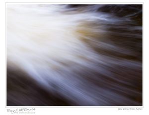 Eramosa River, Everton, Ontario; by Terry McDonald