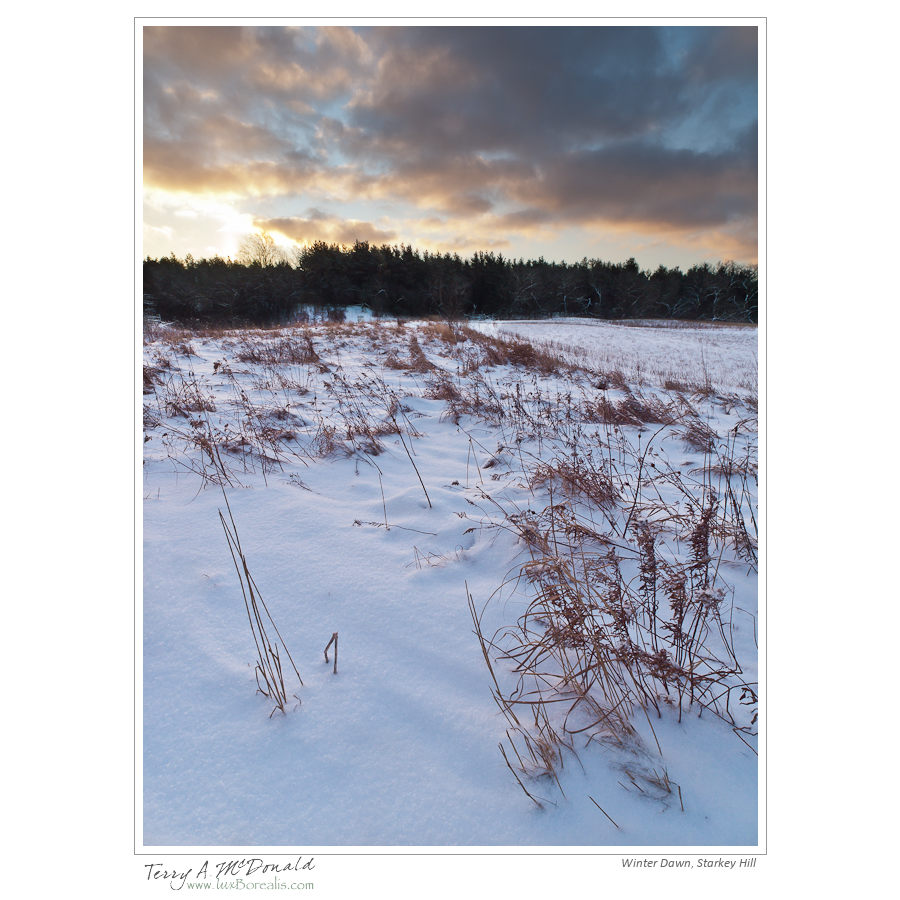 Winter Dawn, Starkey Hill