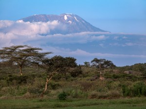 Kilimanjaro in the Blue&nbsp;Zone