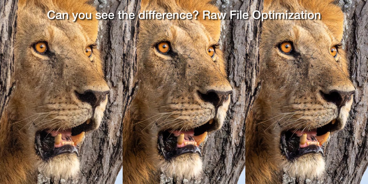 blog.luxborealis.com