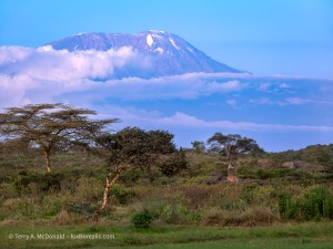 Kilimanjaro in the Blue&nbsp;Zone