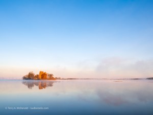 _A251769-Enhanced-NR