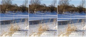 Winter-80MP-100%Lr-3up