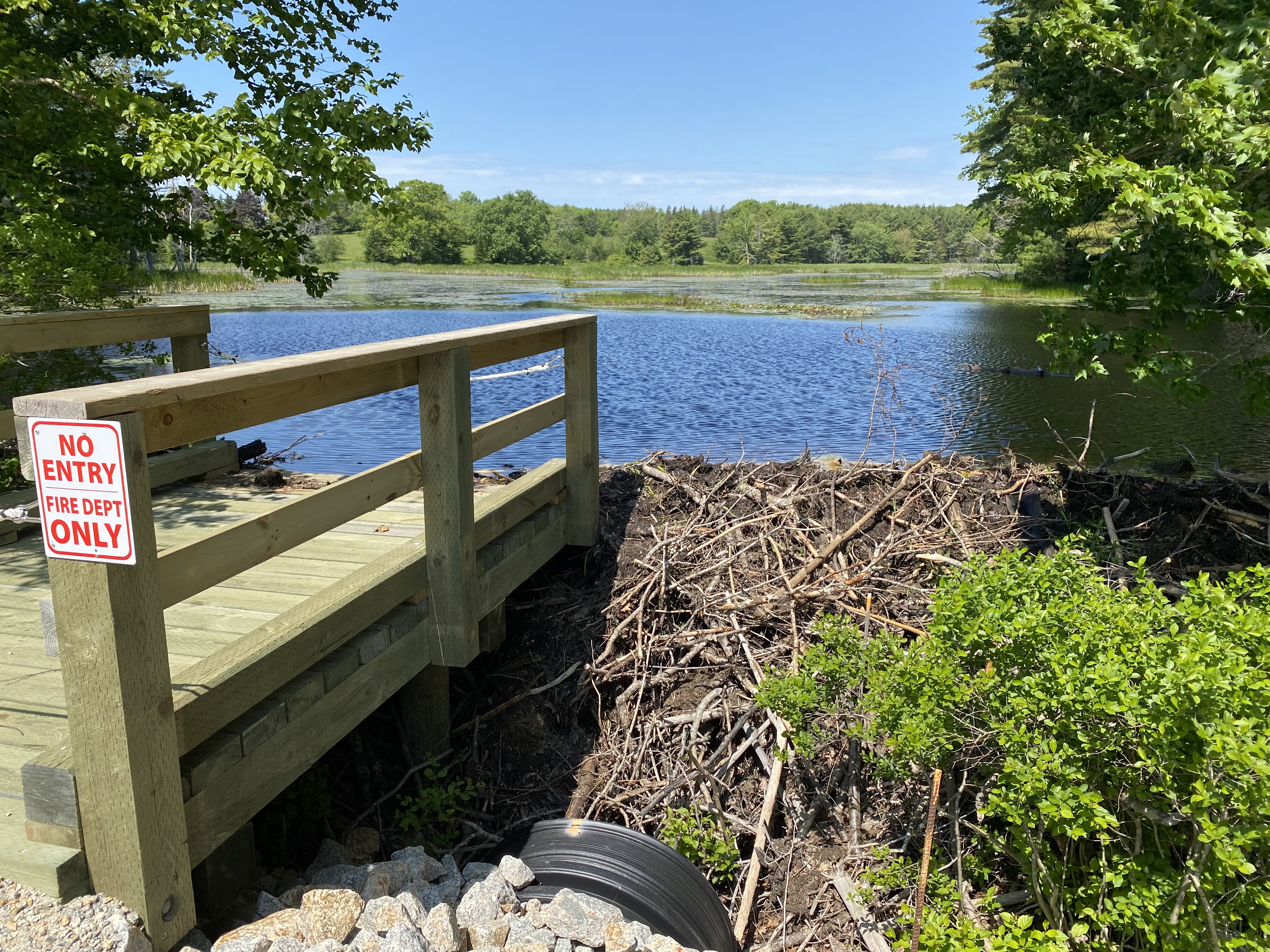A beaver dam is used to create a back-up source of water for the fire department of Indian Point, Nova Scotia