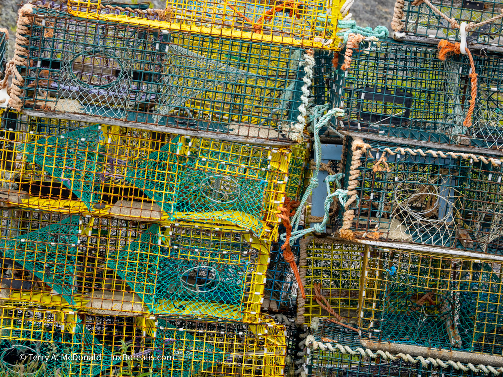 The 1000-piece Puzzle
A close-up of colourful wire lobster traps would make an ideal, but very difficult jigsaw puzzle.