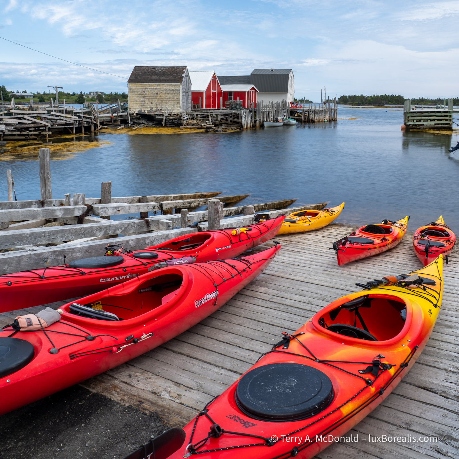 Red Kayaks, Blue Rocks
A group of bright red kayaks are pulled up on a wharf ready for use, with a series of traditional fishing sheds behind