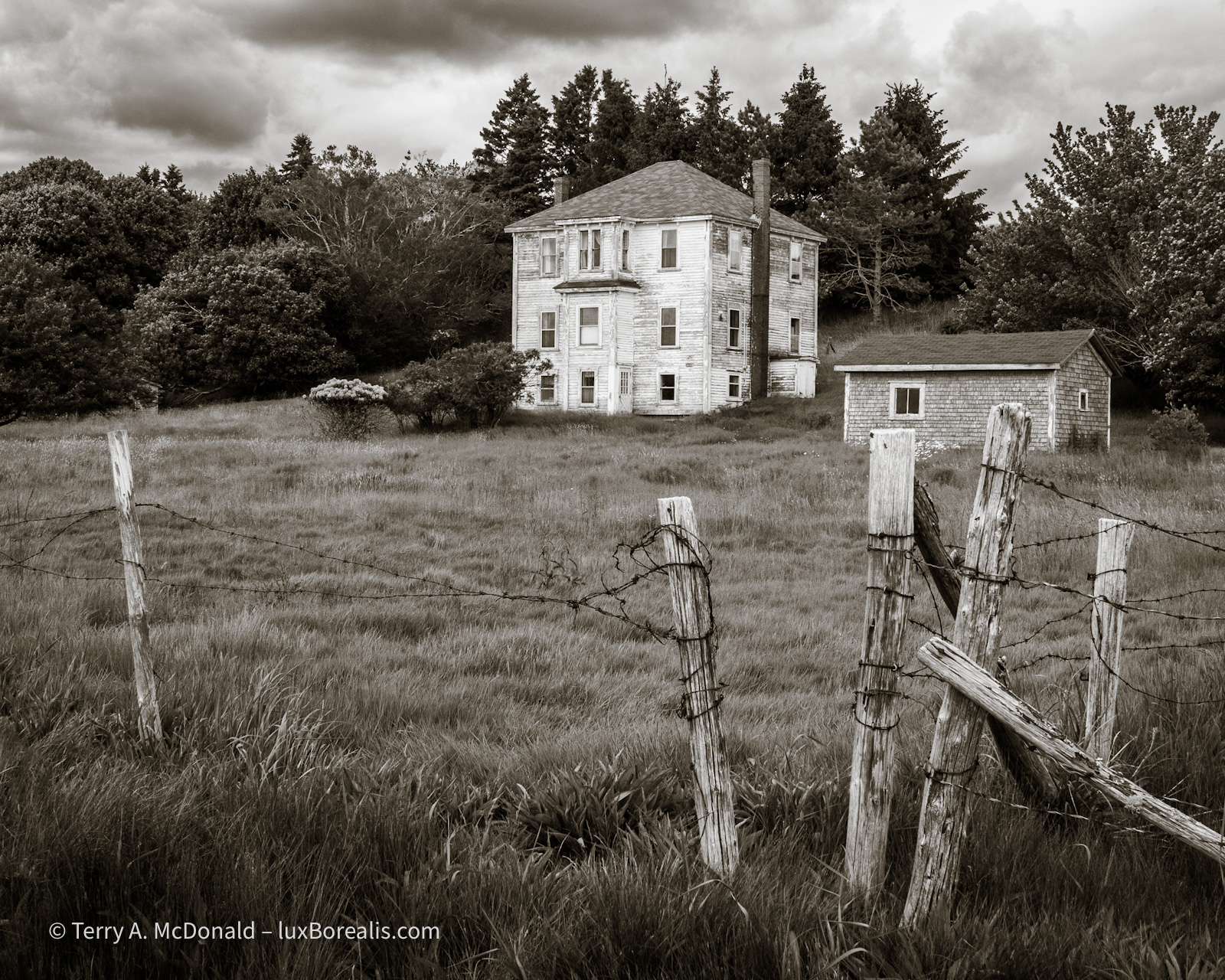 Abandoned - Black-and-white photograph
At the back of a large field protected by a simple post and barbed wire fence is a grand old clapboard house and shed.