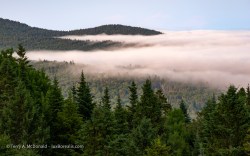 Finger of fog stretch inland below the green, forested hills of the Bay of Fundy coast.