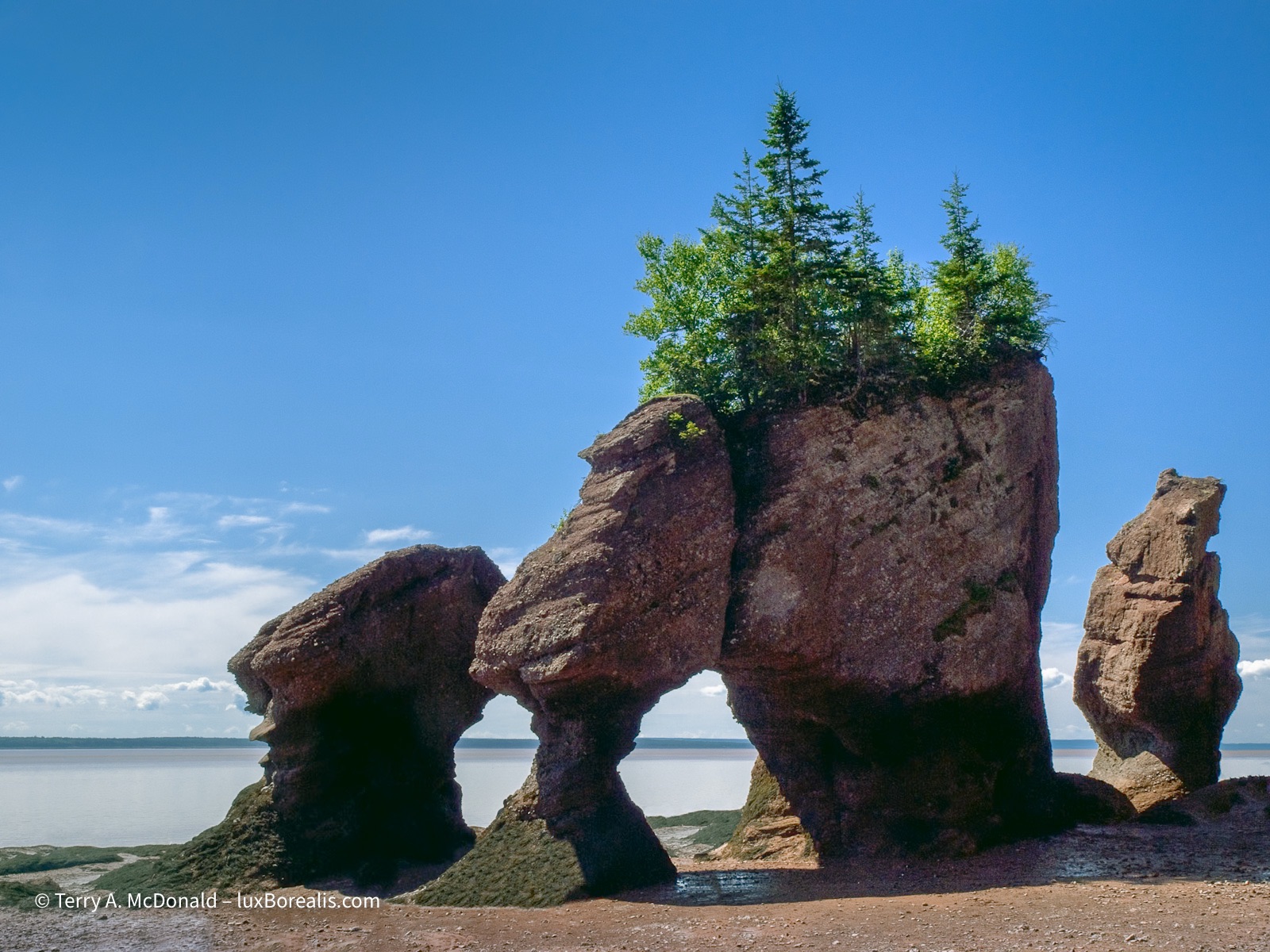 Hopewell Rocks, 2010
An old digital photo from 15 years ago shows the same set of sea stacks along the Bay of Fundy coast at low tide, with a bright blue, clear sky behind.
