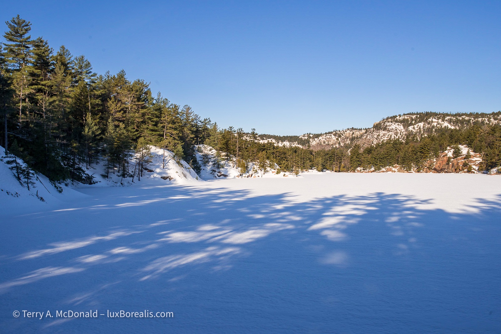 Winter Dawn, A. Y. Jackson Lake, Killarney
A blue sky dawns over A.Y. Jackson Lake, named for a member of the Group of Seven, frozen and blanketed with white snow with the long shadows of coniferous trees stretching from the foreground across the lake. ©Terry A. McDonald – luxBorealis.com
