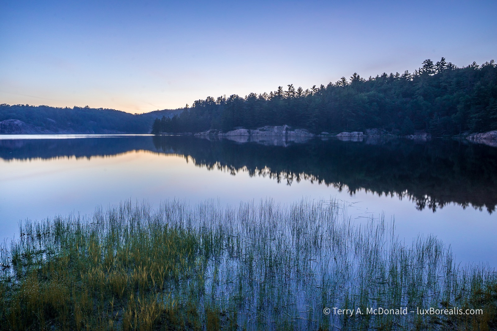 Blue Hour, George Lake, Killarney
A mat of low reeds is outlined in the foreground with a rocky shoreline forested with coniferous trees spreading back towards the pre-dawn glow reflected in a lake as smooth as a mill pond. ©Terry A. McDonald – luxBorealis.com