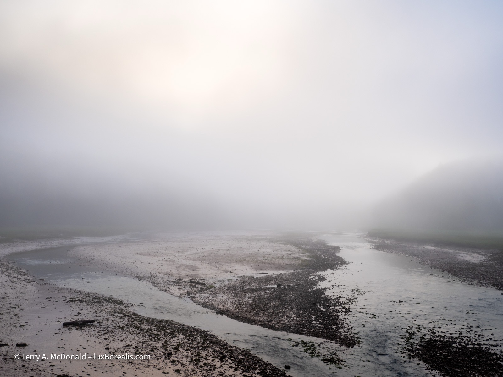 Evening Fog and Receding Tide, Salmon River
The evening sun is trying to break through a fog bank above a wide, flat braided river nearly empty of water.