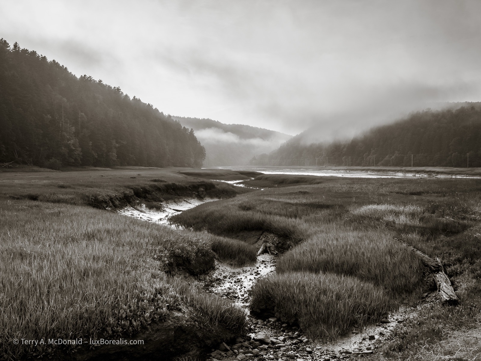 Tide’s Out
A deeply cut meander, empty of water, zig zags through a salt marsh with the foggy, misty, coastal hills of the Bay of Fundy behind.