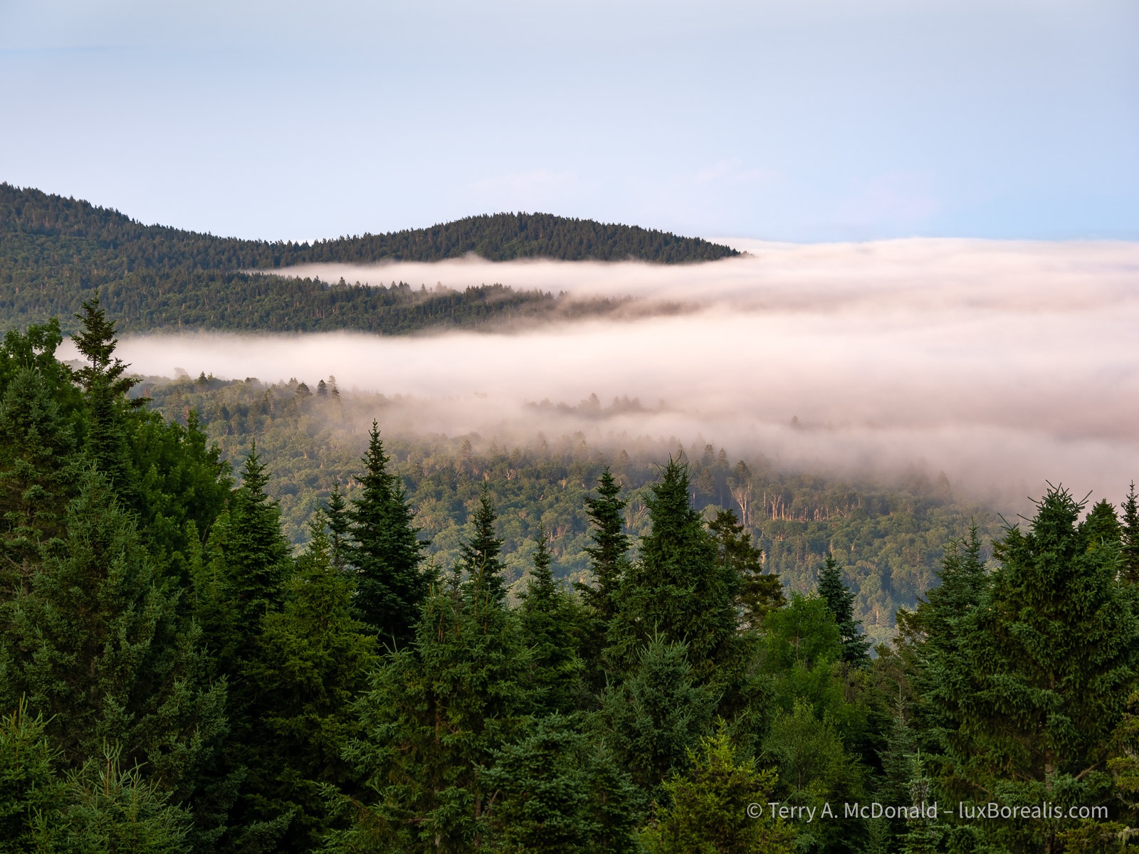 Fundy Evening
Fingers of fog lit by the evening sun stretch inwards into the valleys between the hills along the Bay of Fundy coast.