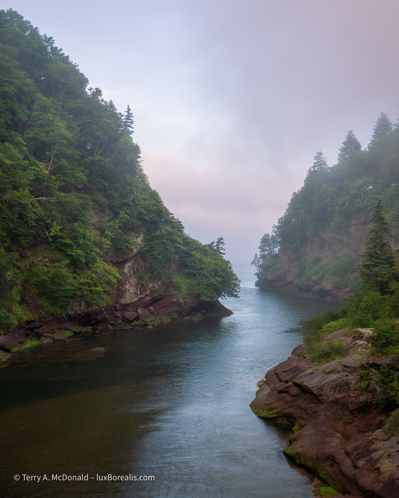 Dawn, Salmon River at Wolfe Point
The Salmon River meanders its way to the Bay of Fundy between steep forested hills amidst rose and blue-coloured fog.