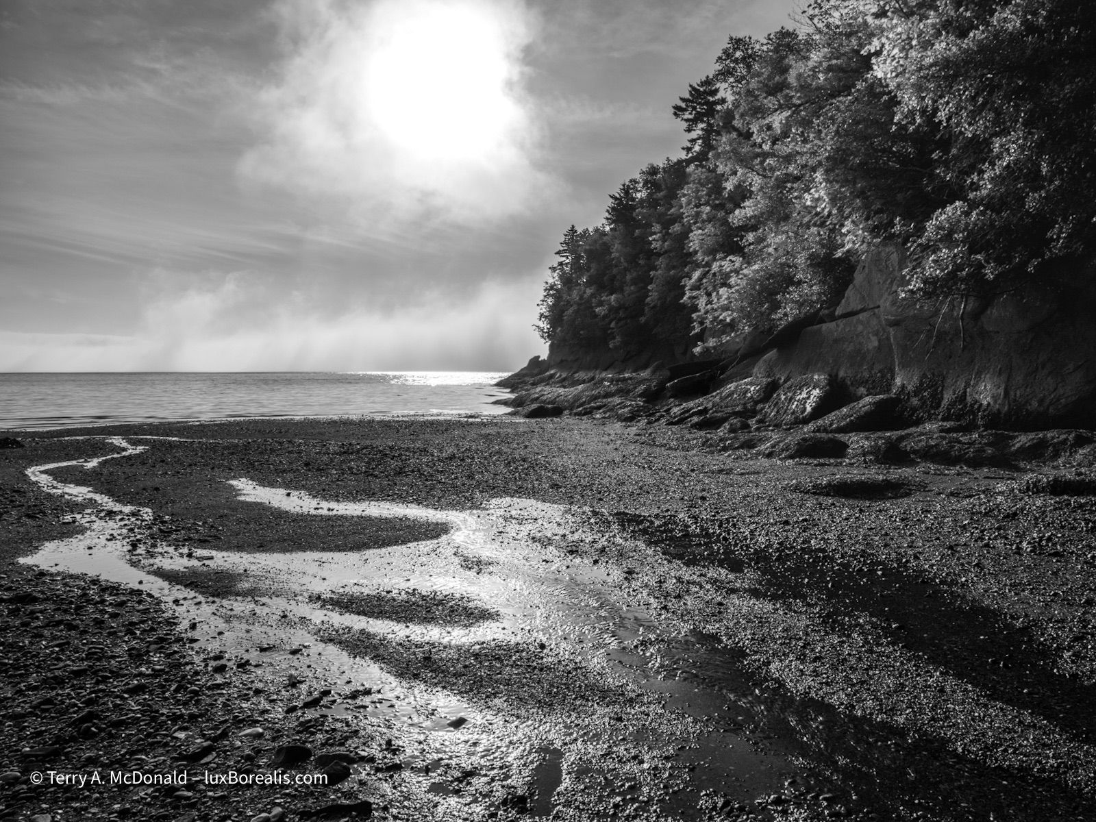 Racing to the Sea
In this black-and-white photograph, wide but shallow rivulets stream across a pebble beach on their way tot he Bay fo Fundy, backlit by bright morning sunshine with fog hovering over the bay.