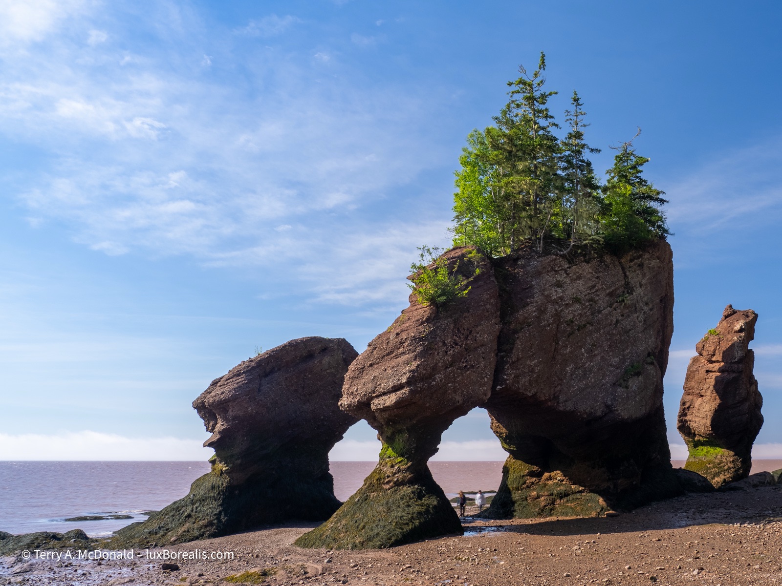 Hopewell Rocks, 2025
An updated digital photo shows the same set of sea stacks along the Bay of Fundy coast at low tide with a bright blue sky behind.