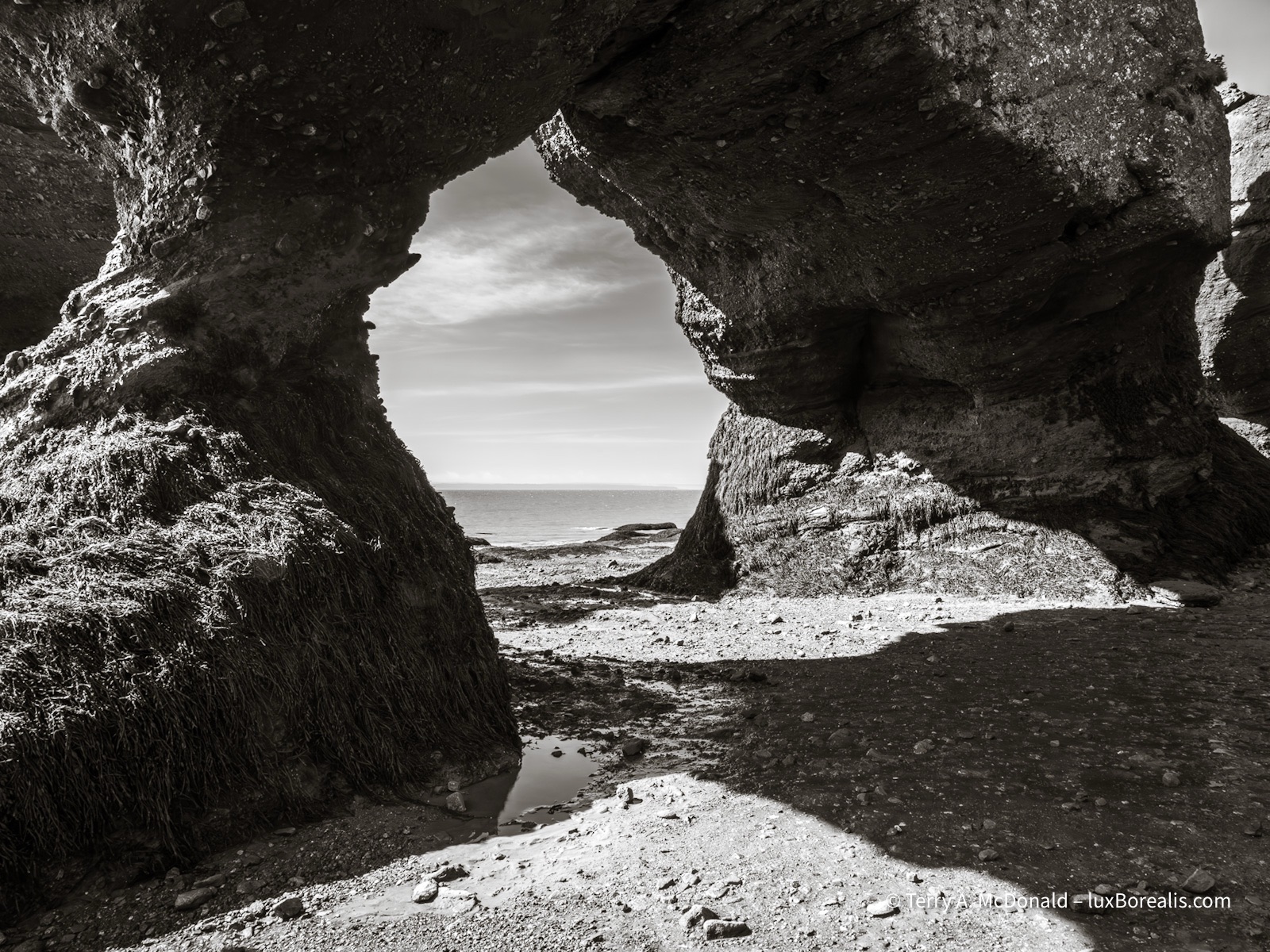 Giants of the Ocean Floor
This black-and-white photograph shows the bases of a large sea stack arch are like huge elephant legs standing on the sea floor at low tide.